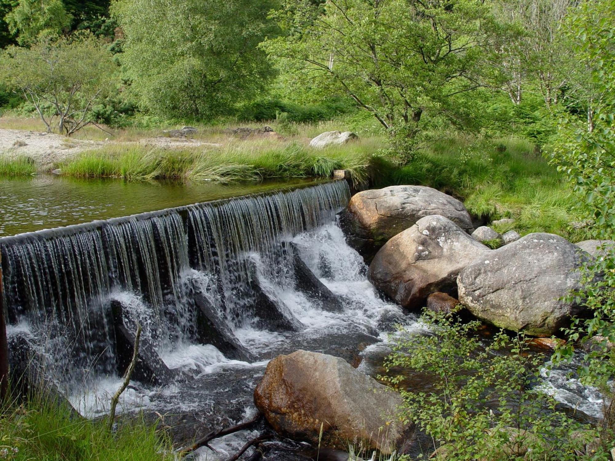 Glendalough International Youth Hostel Laragh Eksteriør bilde The river at the foot of the village