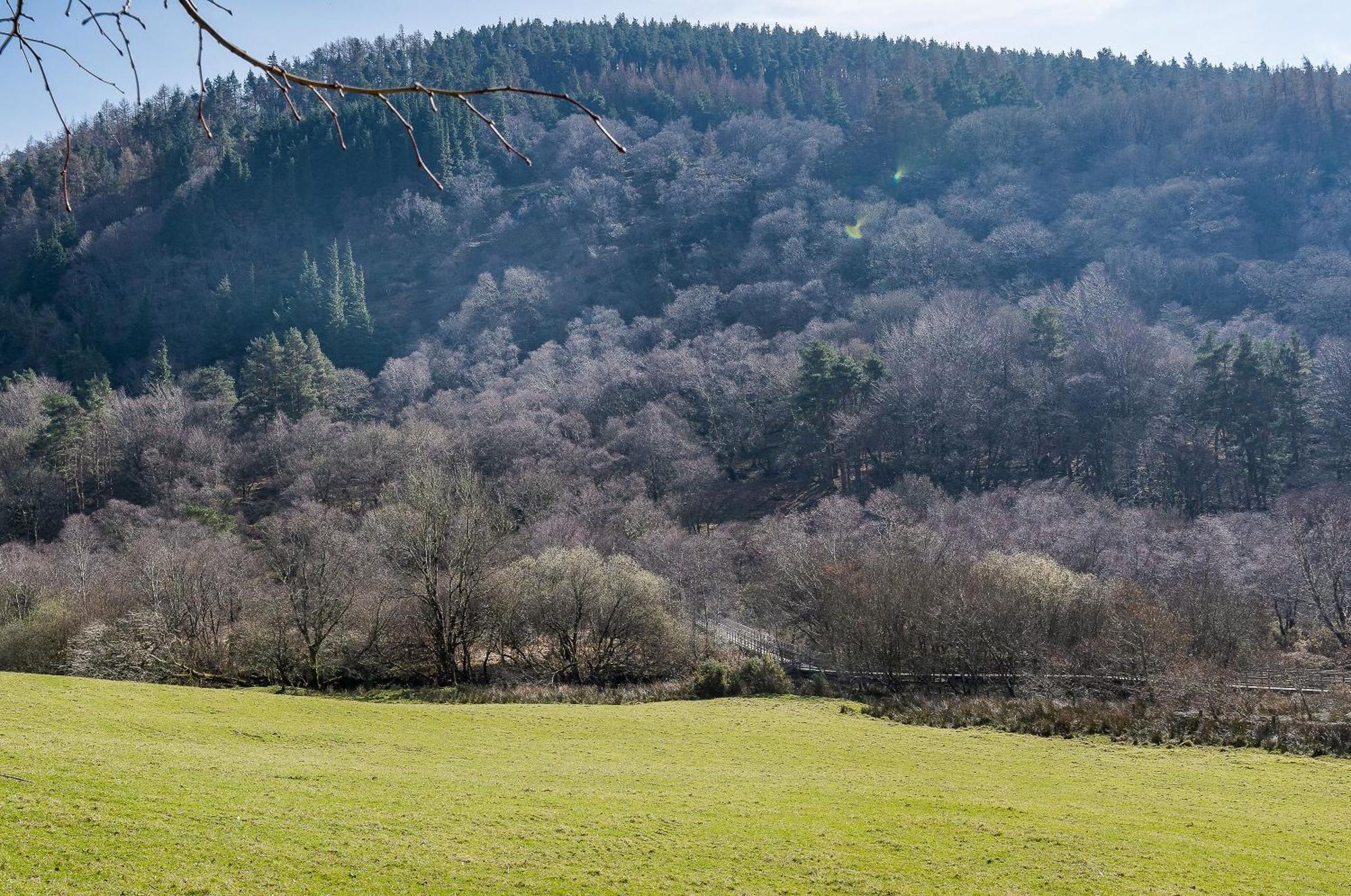 Glendalough International Youth Hostel Laragh Eksteriør bilde